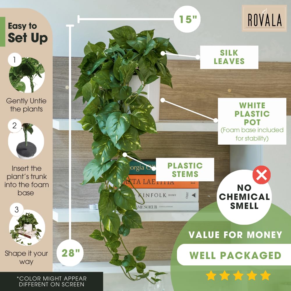 MY ROVALA plants are safe for homes with kids and pets.