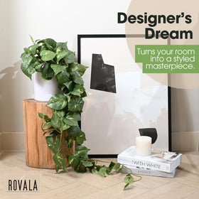 MY ROVALA decor plants are durable and easy to care for daily.