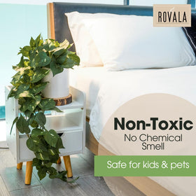 MY ROVALA decor plants brighten spaces on shelves and desks with minimal effort.