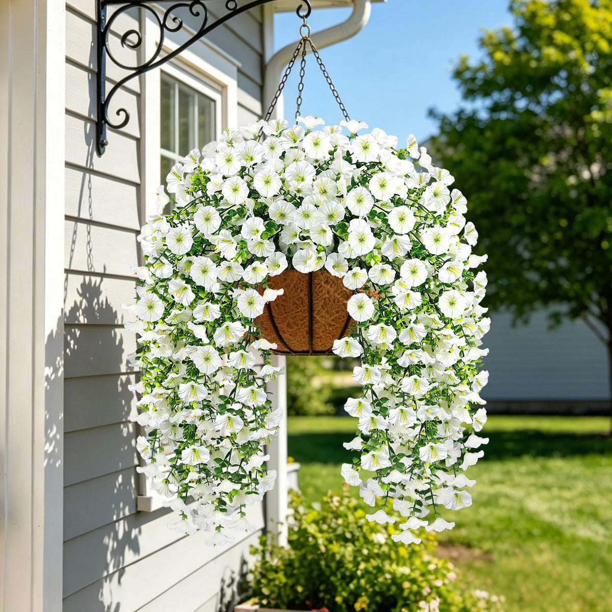 MyCoats Morning Glory Vines on a porch area for year-round color
