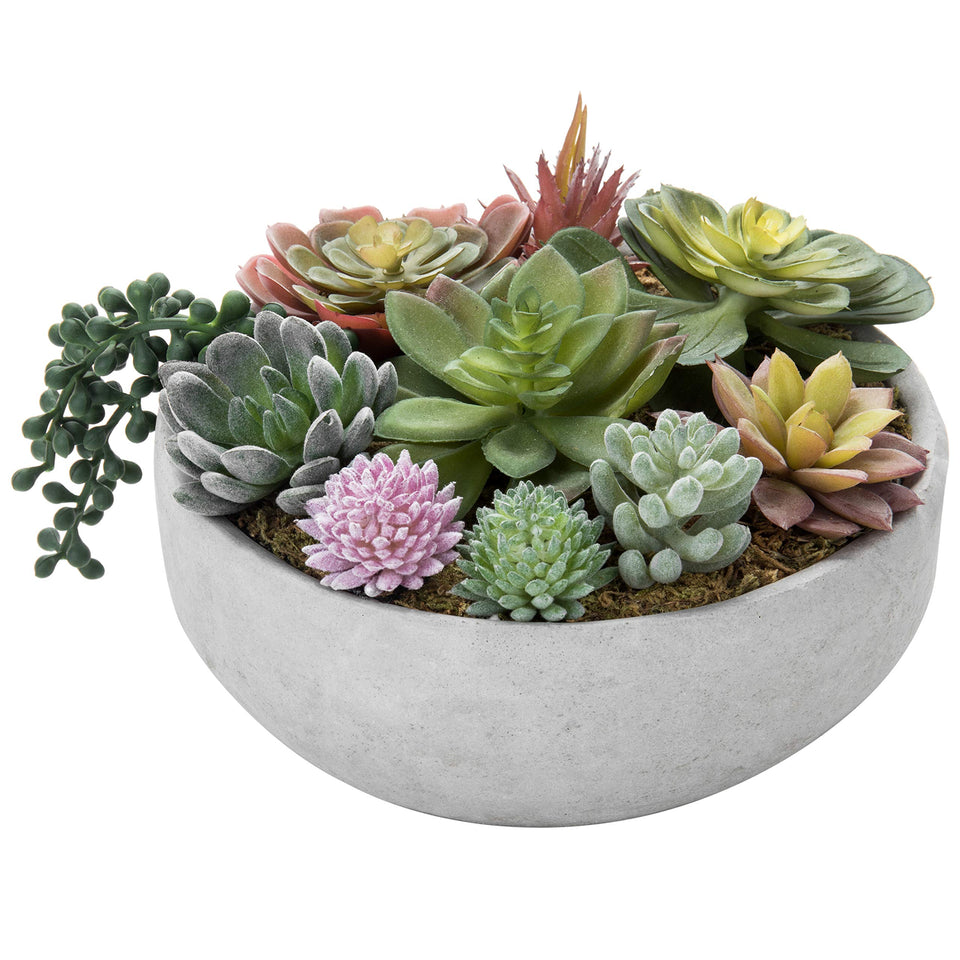 MyGift 8-inch round succulent arrangement in gray concrete pot adds contemporary greenery