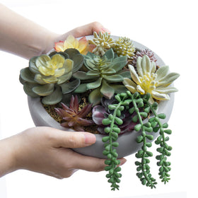 MyGift artificial succulents require no watering, reducing mess and upkeep