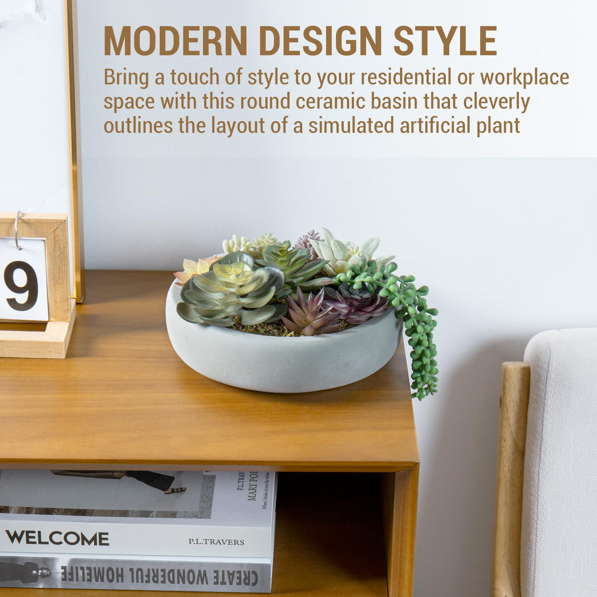 MyGift assorted mini succulents with moss fill for a low-maintenance desk accent
