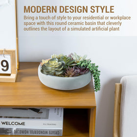 MyGift assorted mini succulents with moss fill for a low-maintenance desk accent