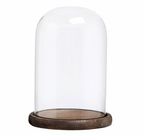 MyGift bell jar dome with wood base highlights keepsakes in an elegant display.