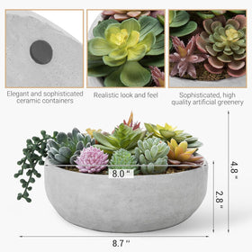 MyGift desk or window sill decor for a refreshing maintenance-free touch