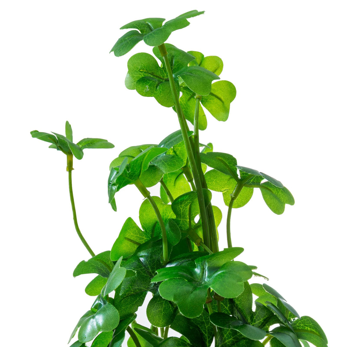 MyGift desktop display with glass pots, lifelike greenery.