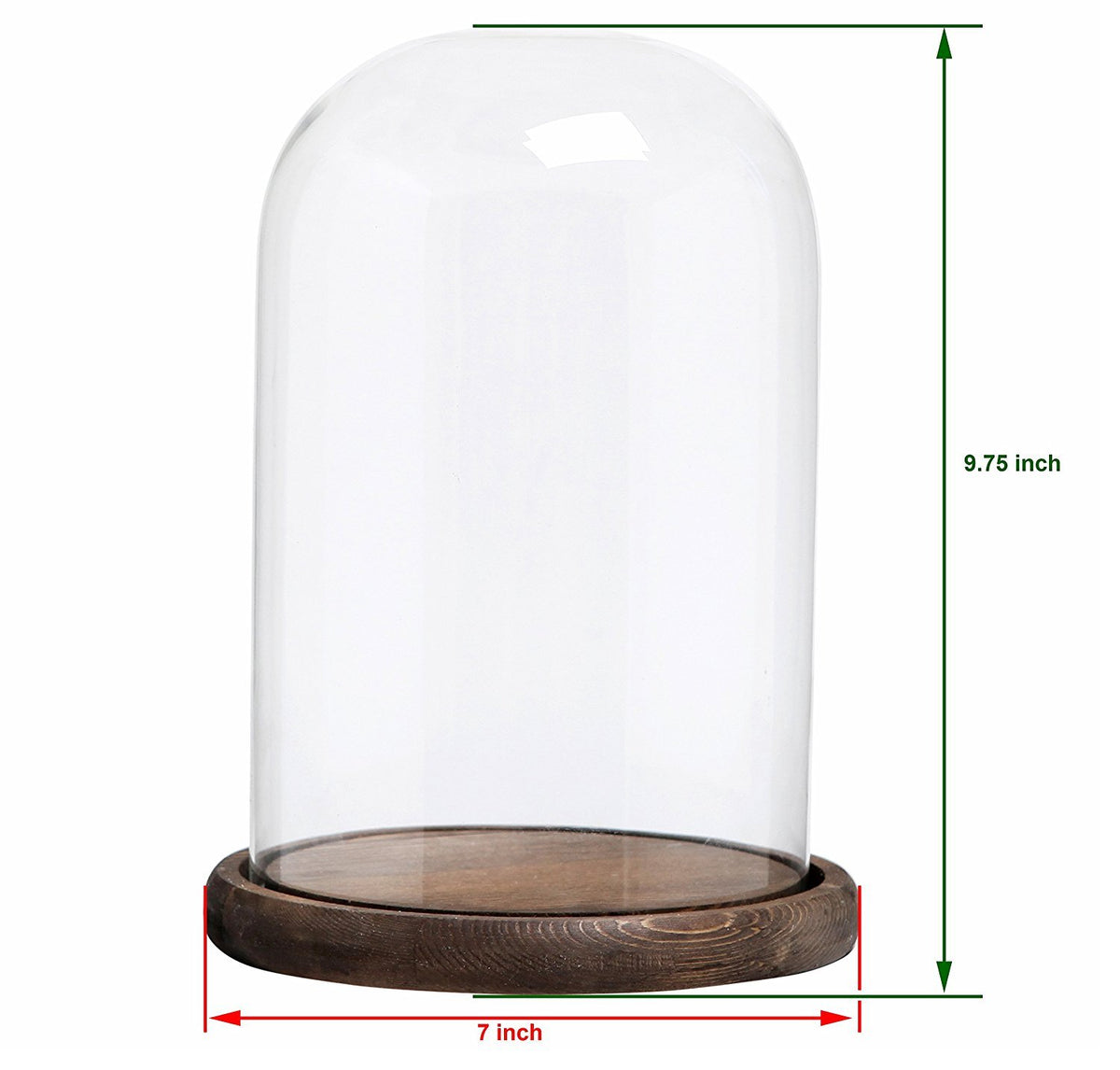 MyGift glass dome interior space ideal for small plants, figurines, or dried flowers.