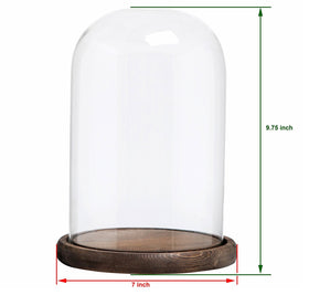 MyGift glass dome interior space ideal for small plants, figurines, or dried flowers.