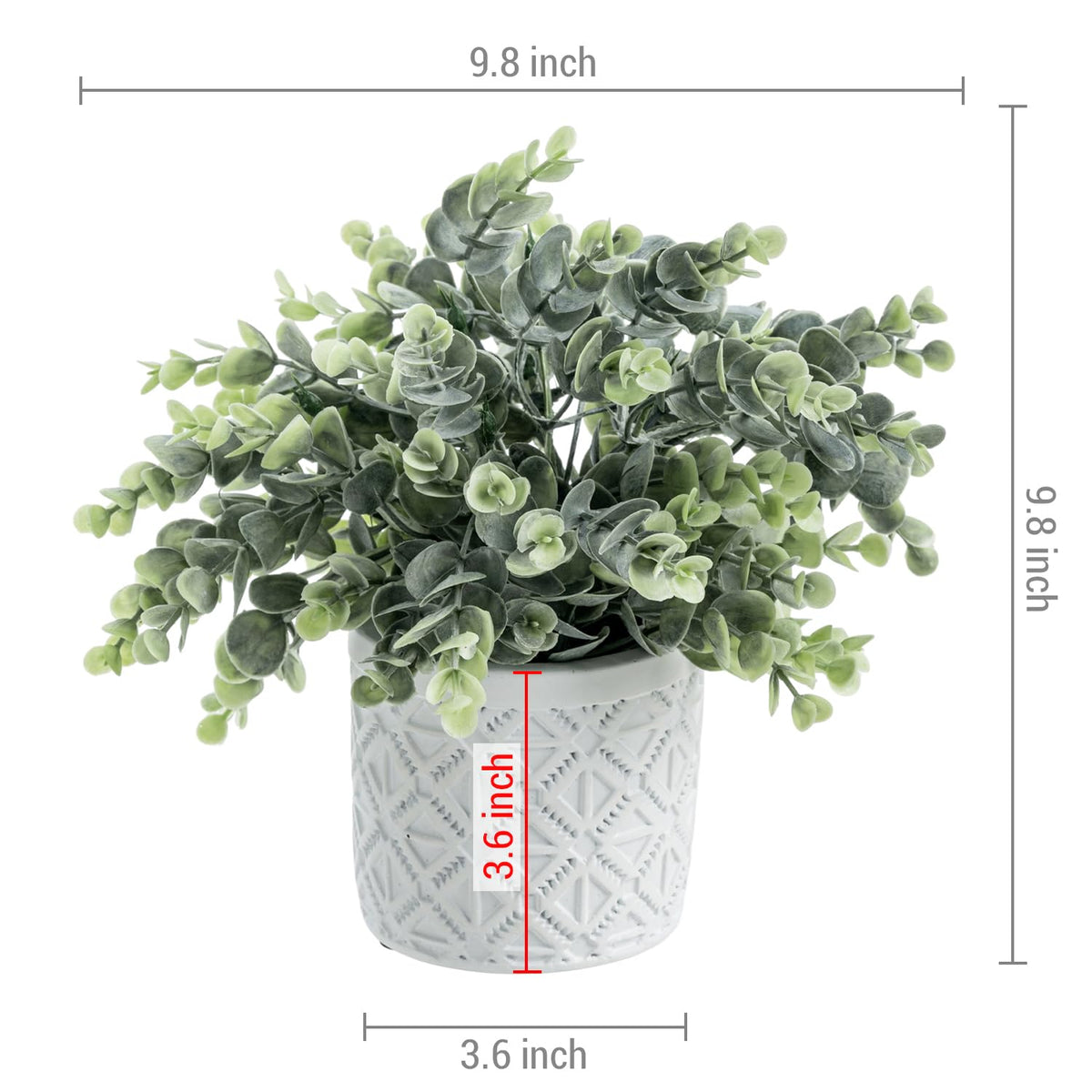 MyGift eucalyptus plant shown with compact height ideal for shelves and desks