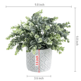 MyGift eucalyptus plant shown with compact height ideal for shelves and desks
