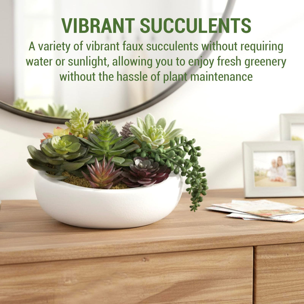 MyGift lifelike mini succulents in a low profile planter for shelves