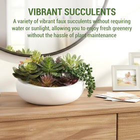 MyGift lifelike mini succulents in a low profile planter for shelves