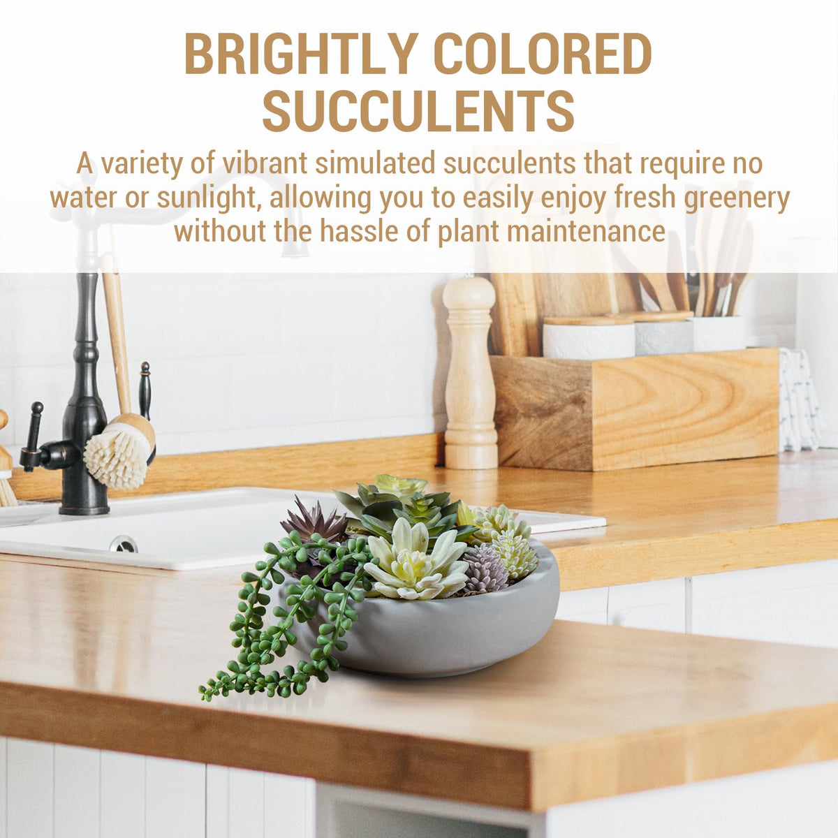 MyGift modern succulent display on a shelf showcasing texture and color