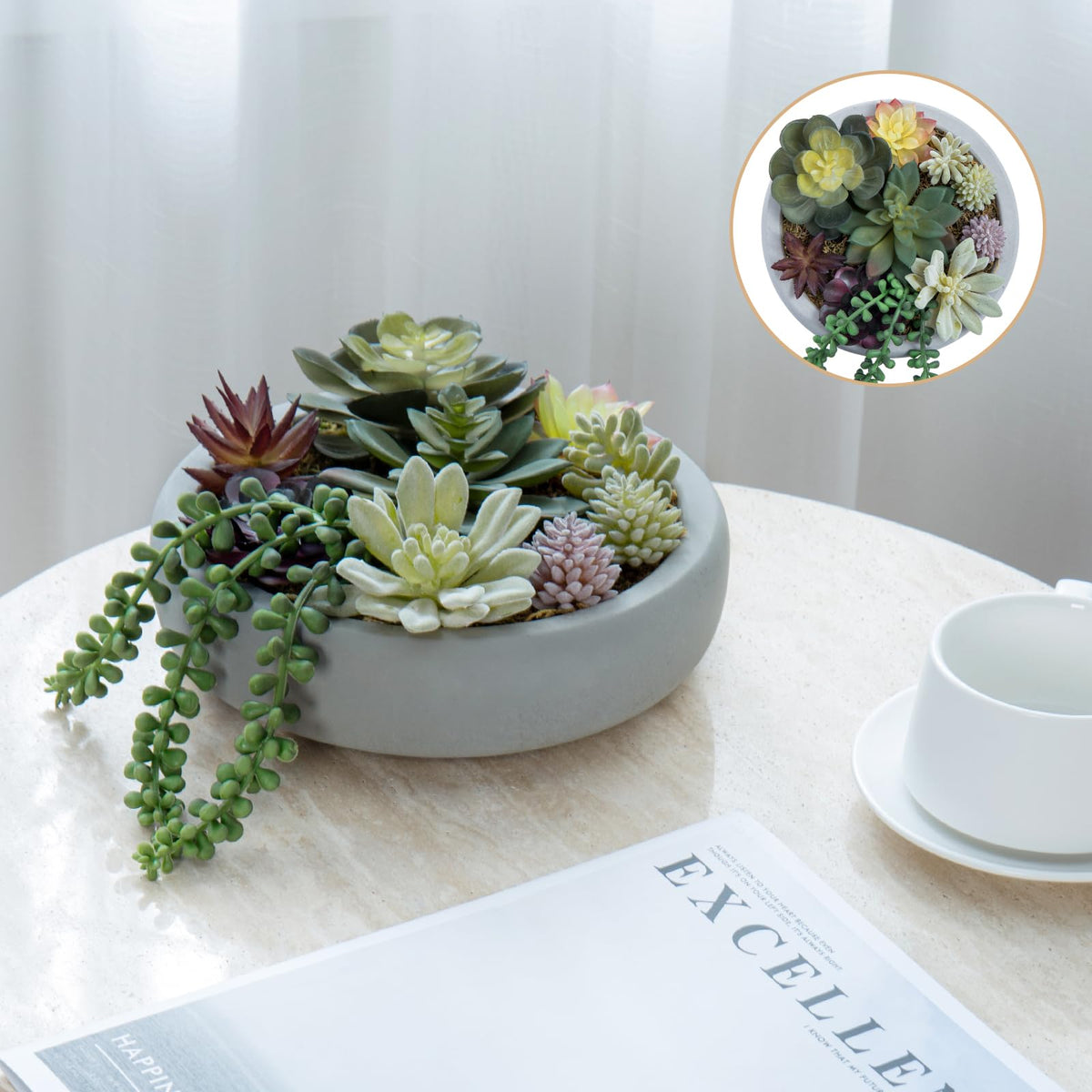 MyGift closeup reveals moss texture and plant variety for visual interest