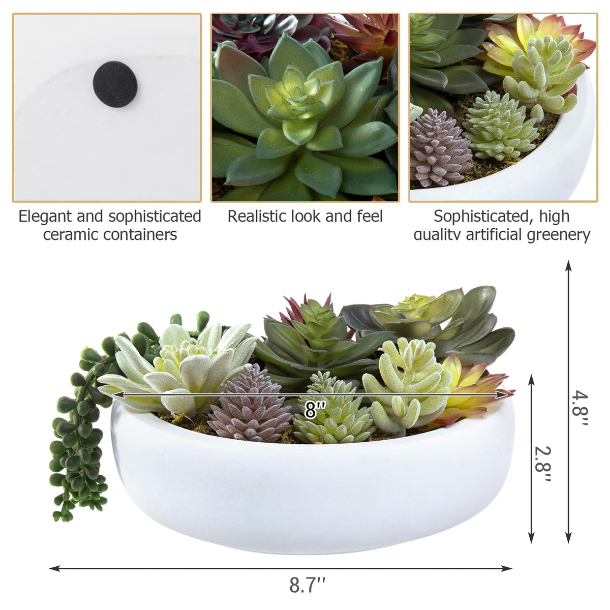 MyGift succulent arrangement adds a welcoming accent on tables or counters