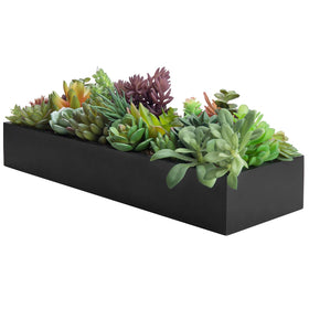 MyGift compact succulent display suits small desks and windowsills