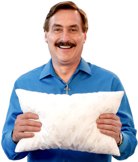 MyPillow 12x18 inch size supports neck on the go.