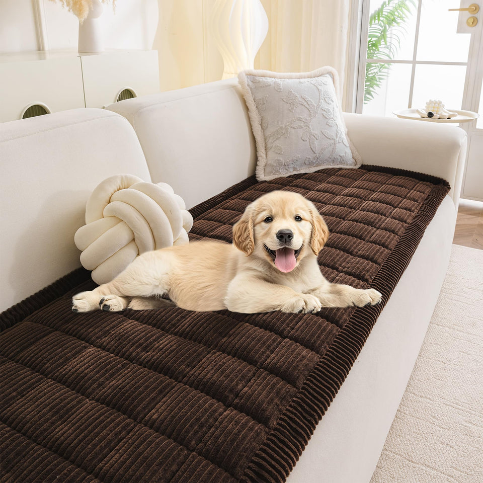 MYSKY HOME dog couch cover on sofa protects pets and furniture