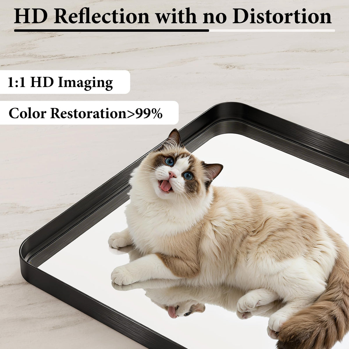 MYSUNORIA anti-rust frame close-up demonstrates durability in humid spaces