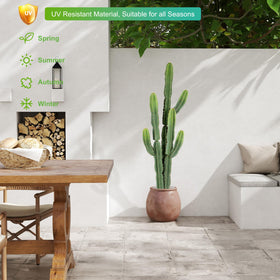 Nafresh artificial cactus with ultra-realistic texture and life-like gradients.