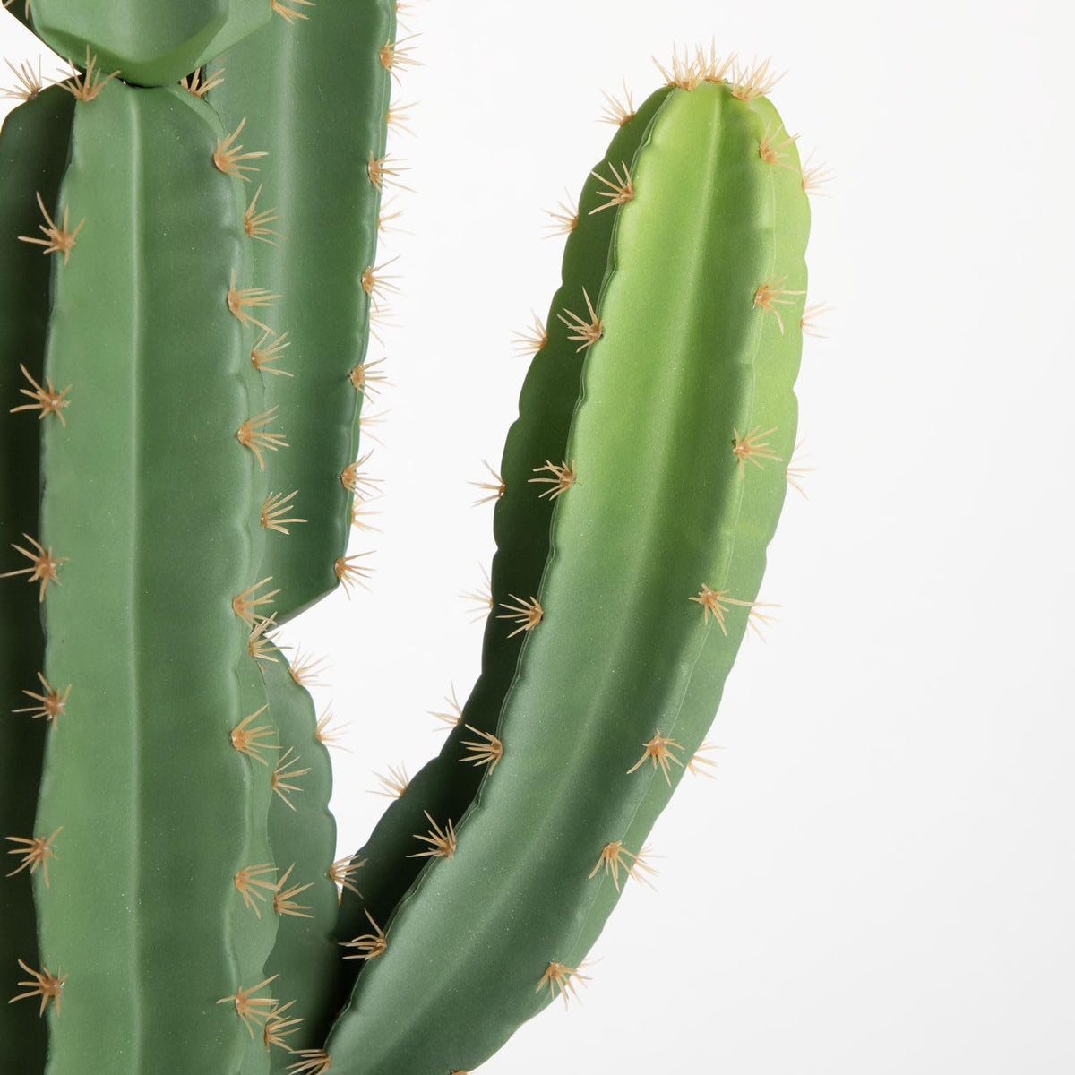 Nafresh cowboy cactus as a large desert-inspired centerpiece for rustic decor.
