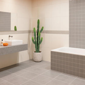 Nafresh durable cactus decor for indoor or outdoor spaces.