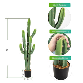 Nafresh cactus features soft, pet-friendly spines for homes with kids.