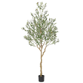 Nafresh tall olive tree full view showcases lifelike silk leaves for stylish, low-maintenance decor.