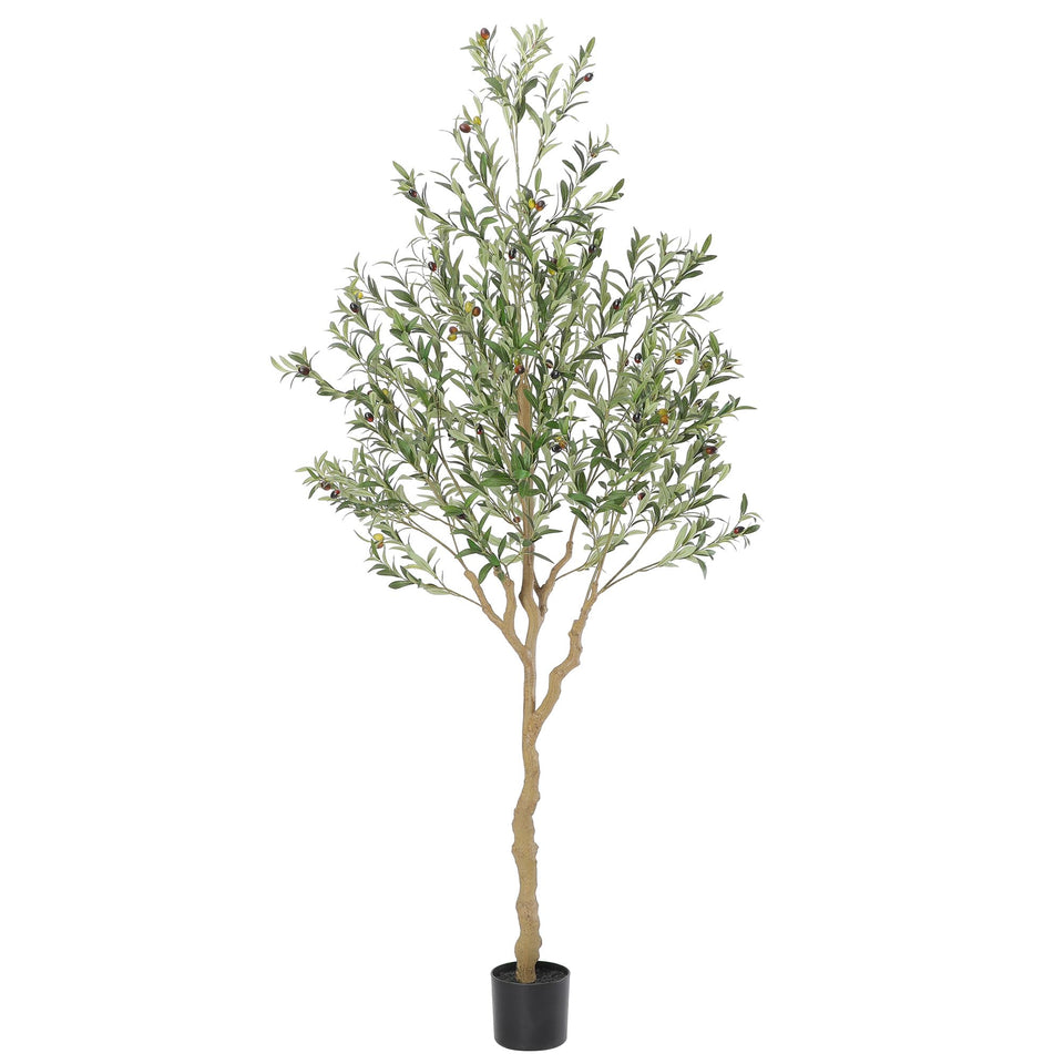 Nafresh tall olive tree full view showcases lifelike silk leaves for stylish, low-maintenance decor.