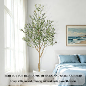 Nafresh tall olive tree living room display adds peaceful greenery.
