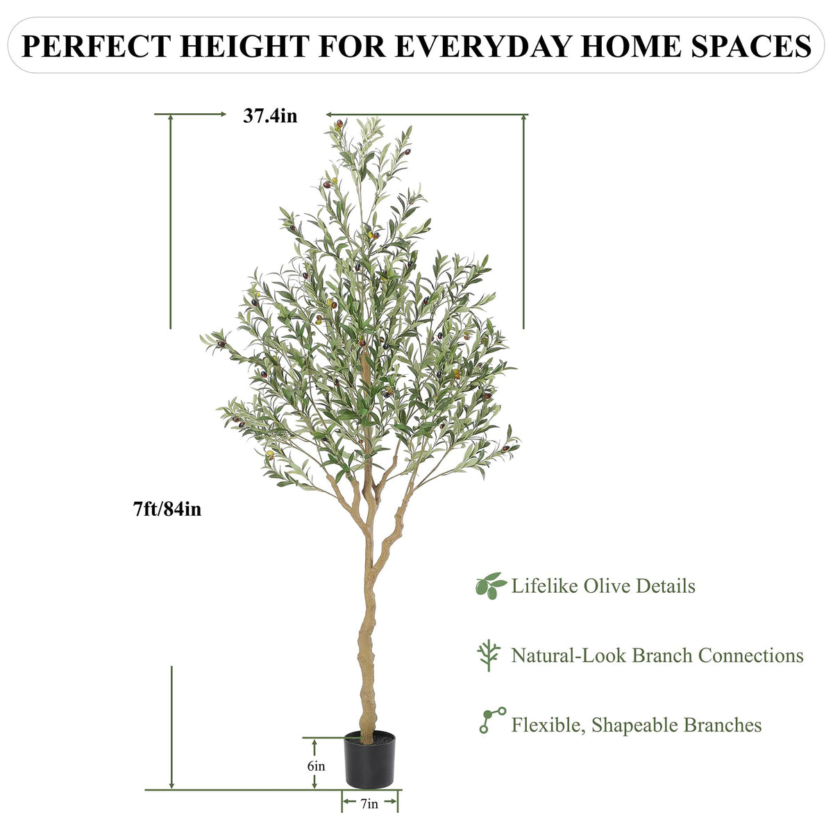 Nafresh tall olive tree potted base demonstrates versatile placement options.