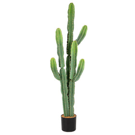 Nafresh 5ft UV-resistant cactus for outdoor use with durable color retention.