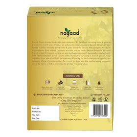 Nagaad Frereana resin ready for incense burner setup