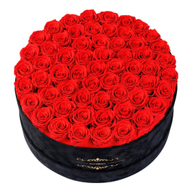 NATROSES 60 preserved roses in a black velvet box, a lasting keepsake gift.