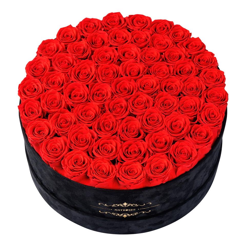 NATROSES 60 preserved roses in a black velvet box, a lasting keepsake gift.