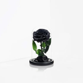 NATROSES black rose preserved flowers closeup reveals delicate texture.