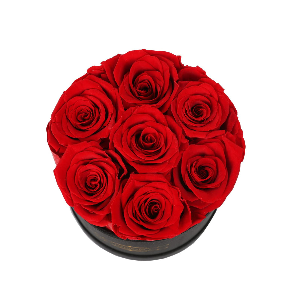 NATROSES care-free preservation preserves color and beauty for years