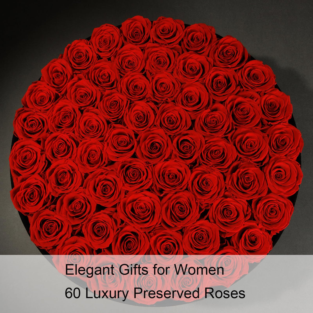 NATROSES close-up of a preserved rose highlighting rich color and no maintenance.