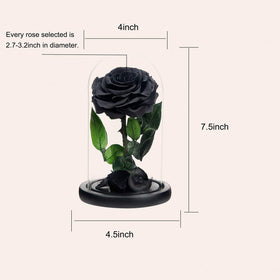 NATROSES handmade preserved rose in gift box, a timeless ready-to-gift keepsake.