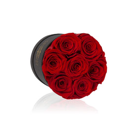 NATROSES preserved rose red closeup highlights vivid petals and lasting charm
