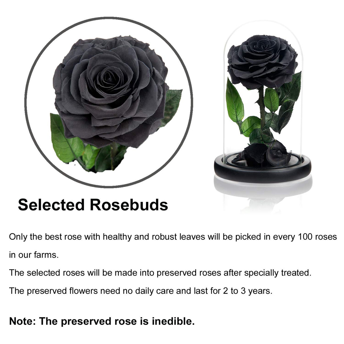 NATROSES preserved rose silk gift box enhances elegant gifting.