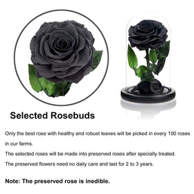 NATROSES preserved rose silk gift box enhances elegant gifting.