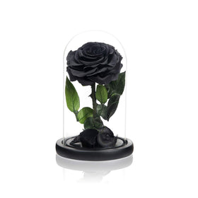 NATROSES valentines-day preserved rose makes a unique keepsake for moments.