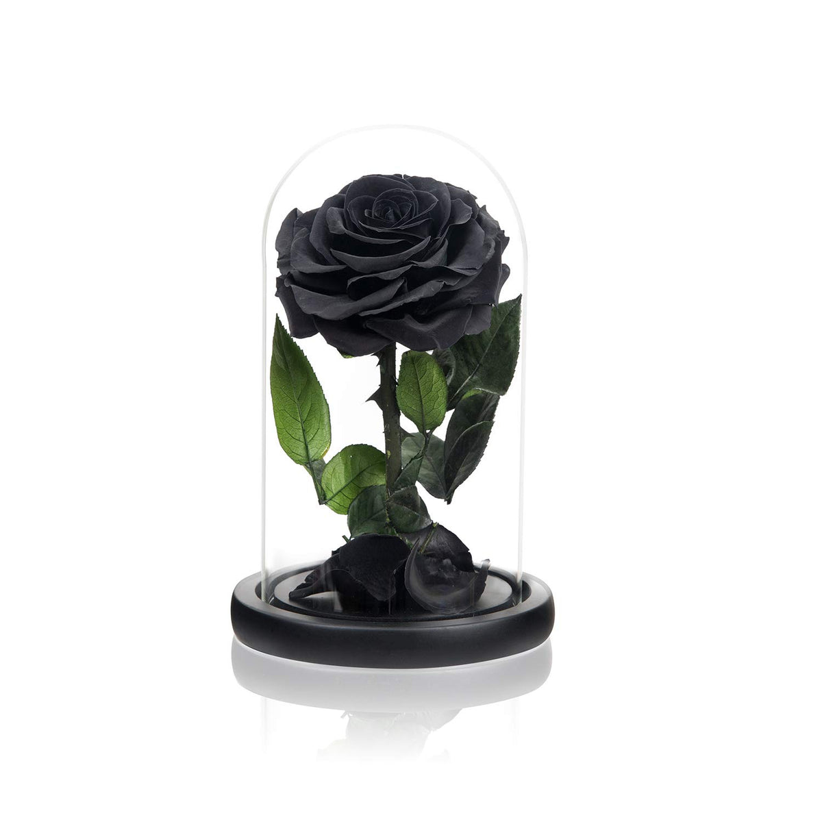 NATROSES valentines-day preserved rose makes a unique keepsake for moments.