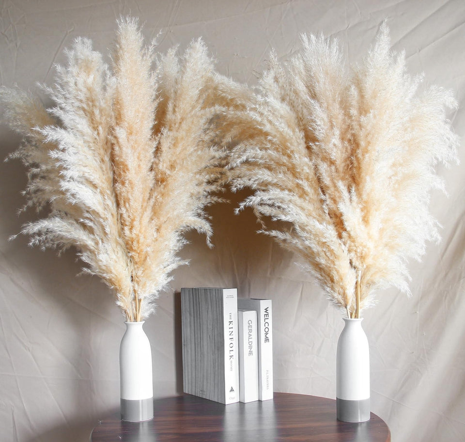 Naunauya 30-inch pampas grass stems arranged in a floor vase for versatile decor