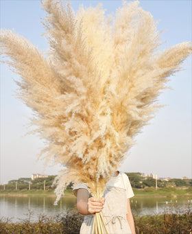 Naunauya pampas grass 46 inch tall display for boho home decor