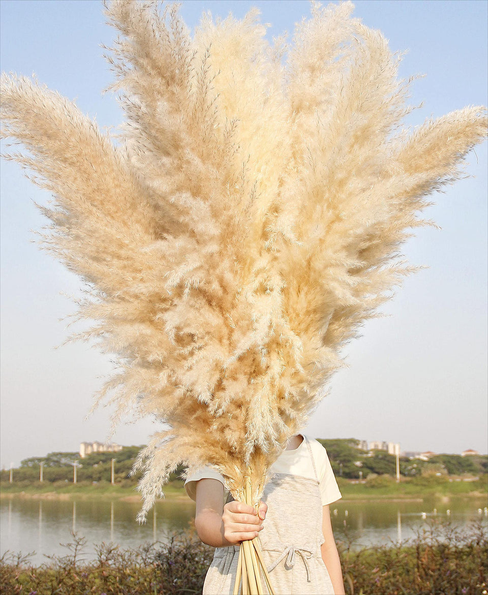 Naunauya pampas grass 46 inch tall display for boho home decor