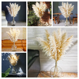 Naunauya pampas grass floor vase display adds natural texture