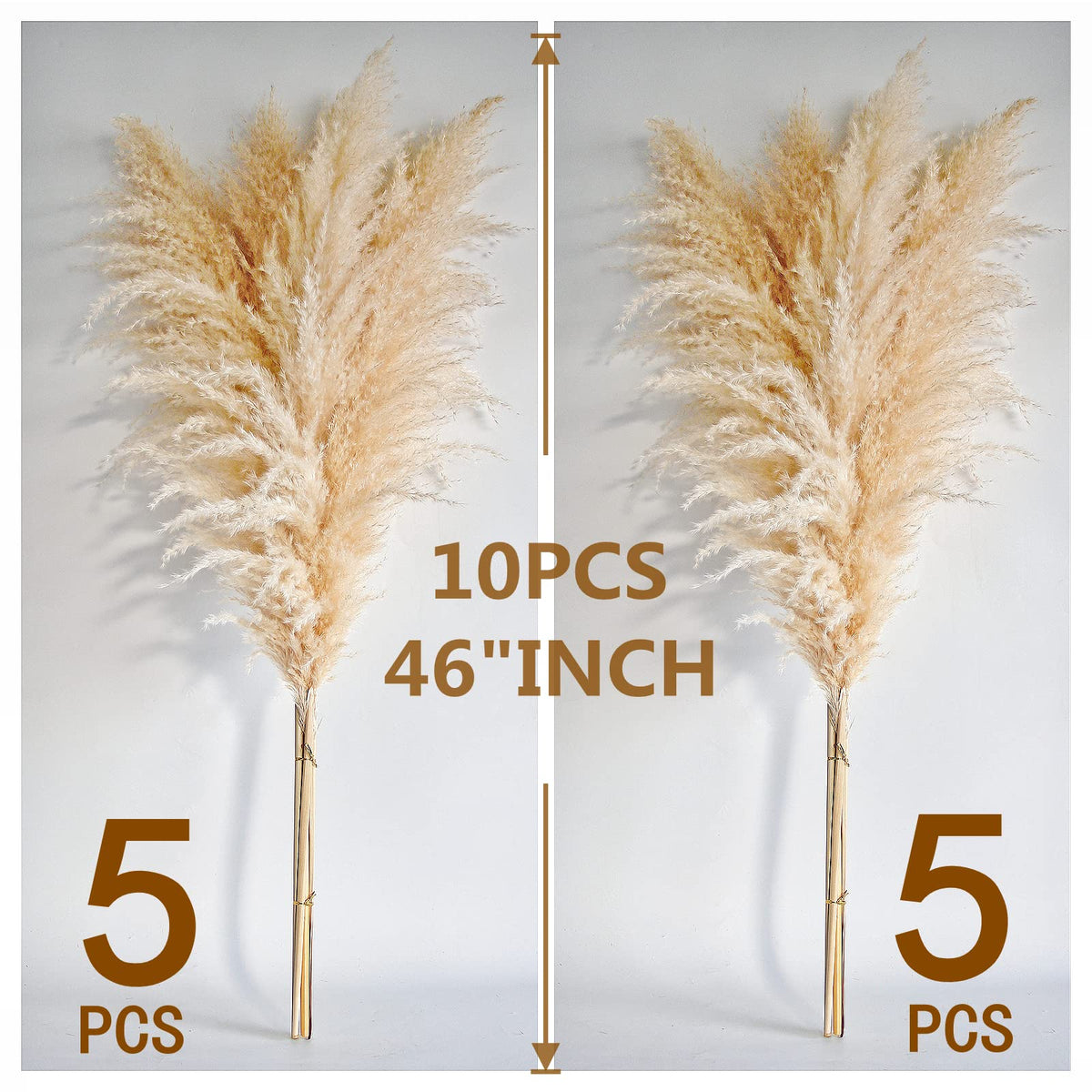 Naunauya pampas grass living room decor for neutral spaces